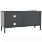 Preview: TV-Schrank Anthrazit 90x30x44 cm Stahl und Glas