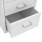 Preview: Aktenschrank mit Rollen Grau 28x41x69 cm Metall