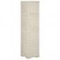 Preview: Kunststoffschrank 40x43x164 cm Holzdesign Vanilleeis