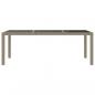 Preview: Gartentisch Beige 190x90x75 cm Gehärtetes Glas und Poly Rattan