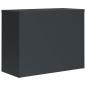 Preview: Aktenschrank Anthrazit 90x40x110 cm Stahl