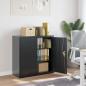 Preview: ARDEBO.de - Aktenschrank Anthrazit 90x40x90 cm Stahl