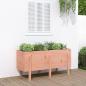 Preview: ARDEBO.de - Hochbeet 121x50x57 cm Massivholz Douglasie