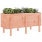 Preview: Hochbeet 121x50x57 cm Massivholz Douglasie