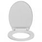 Preview: Toilettensitz mit Absenkautomatik Quick-Release Hellgrau Oval