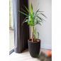 Preview: ARDEBO.de - Capi Vase Groove Elegant 46x58 cm Schwarz