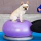 Preview: FitPAWS Fitnessball für Hunde TRAX Donut 55 cm Lila