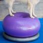 Preview: FitPAWS Fitnessball für Hunde TRAX Donut 55 cm Lila