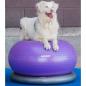 Preview: FitPAWS Fitnessball für Hunde TRAX Donut 55 cm Lila