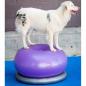 Preview: FitPAWS Fitnessball für Hunde TRAX Donut 55 cm Lila