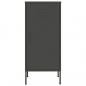 Preview: Lagerschrank Anthrazit 42,5x35x101,5 cm Stahl    