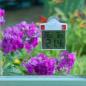 Preview: Nature Digitales Fensterthermometer 13x10x3 cm 6080078