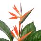 Preview: Künstliche Pflanze Strelitzia mit Topf Rot 100 cm