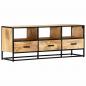 Preview: TV-Schrank 120x30x45 cm Massivholz Mango