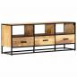 Preview: TV-Schrank 120x30x45 cm Massivholz Mango