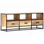 Preview: TV-Schrank 120x30x45 cm Massivholz Mango