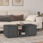 Preview: ARDEBO.de - Couchtisch Grau 110x50x40 cm Massivholz Kiefer