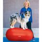 Preview: ARDEBO.de - FitPAWS Gleichgewichtstrainer für Haustiere Trax Peanut 50 cm Rot