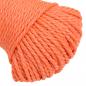 Preview: Arbeitsseil Orange 6 mm 250 m Polypropylen