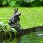 Preview: ARDEBO.de - Ubbink Wasserspeier Froschkönig