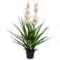 Preview: ARDEBO.de - Künstliche Cymbidium Orchideenpflanze mit Topf 100 cm Grün