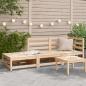 Preview: ARDEBO.de - Gartensofa mit Fußhocker 2-Sitzer Massivholz Kiefer