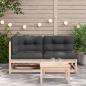 Preview: Gartensofa mit Kissen 2-Sitzer Massivholz Kiefer