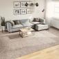 Preview: ARDEBO.de - Teppich Shaggy Hochflor Modern Beige 300x400 cm