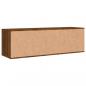 Preview: TV-Schrank Braun Eichen-Optik 120x34x37 cm Holzwerkstoff