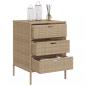 Preview: Gartenschrank Beige 55x59x80 cm Poly Rattan