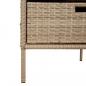 Preview: Gartenschrank Beige 55x59x80 cm Poly Rattan