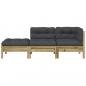 Preview: Gartensofa mit Kissen und Hocker 2-Sitzer