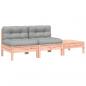 Preview: Gartensofa mit Kissen und Hocker 2-Sitzer