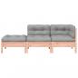 Preview: Gartensofa mit Kissen und Hocker 2-Sitzer