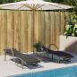 Preview: Sonnenliege mit Auflage Hellgrau 60x199x42 cm Poly Rattan