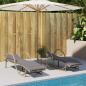 Preview: Sonnenliege mit Auflage Beige 60x199x42 cm Poly Rattan