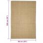 Preview: Teppich Natur Sisal 66x100 cm