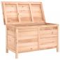 Preview: Gartentruhe 99x50x56,5 cm Massivholz Tanne