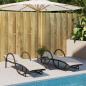 Preview: Sonnenliege mit Auflage Braun 60x199x42 cm Poly Rattan