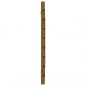 Preview: Wand-Kopfteil Honigbraun 106x3x63 cm Massivholz Kiefer