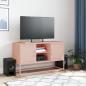 Preview: TV-Schrank Rosa 100,5x39x60,5 cm Stahl