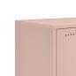 Preview: TV-Schrank Rosa 100,5x39x60,5 cm Stahl