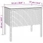 Preview: Beistelltisch Braun 53x37x48 cm Poly Rattan und Hartglas