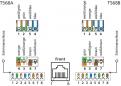 Preview: Metz Connect 130924-E E-DAT modul 48x8(8) 1,5HE Patchfeld Cat.6A, Edelstahl