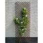 Preview: Nature Garten-Rankgitter 60x180 cm Natur Weide Braun