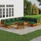 Preview: ARDEBO.de - 12-tlg. Garten-Lounge-Set mit Grünen Kissen Massivholz