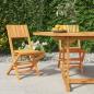 Preview: ARDEBO.de - Gartenstühle 2 Stk. Klappbar 47x61x90 cm Massivholz Teak