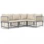 Preview: 4-tlg. Garten-Lounge-Set mit Kissen Anthrazit Poly Rattan