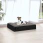 Preview: Hundebett Schwarz 51,5x44x9 cm Massivholz Kiefer