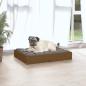 Preview: Hundebett Honigbraun 61,5x49x9 cm Massivholz Kiefer